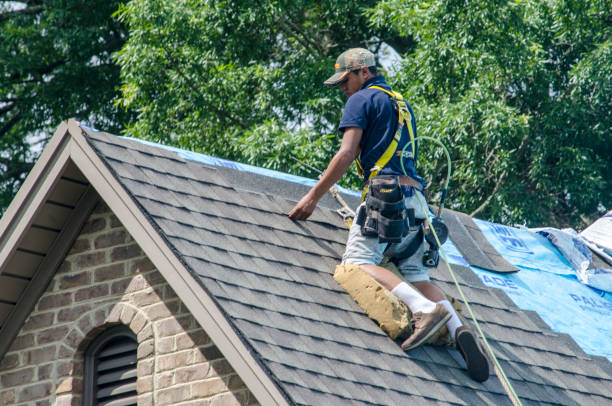 Best Roof Gutter Cleaning  in Jackson, WI